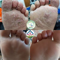 تصاویر 